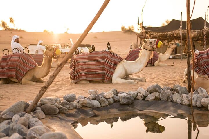 Bedouin Breakfast & Culture Safari in Dubai's Desert
