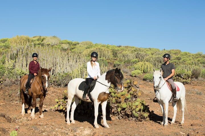 Horseback Riding in Maspalomas: Volcanic Trail & Coastal Views in Gran Canaria photo 6