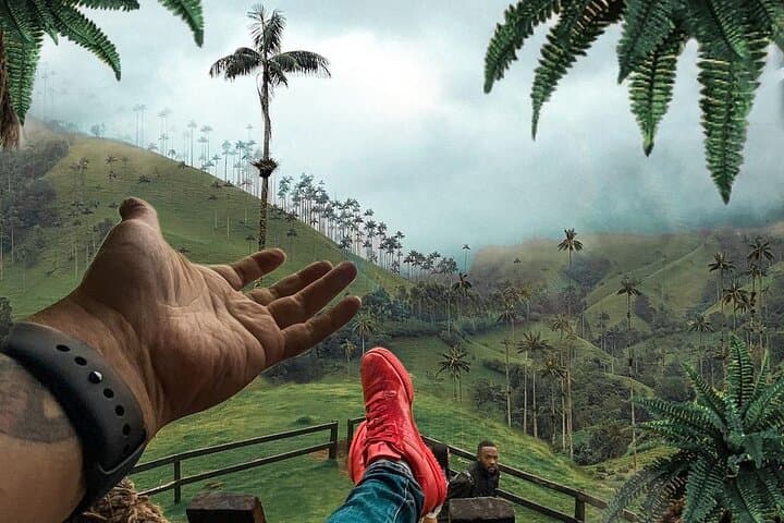 Cocora Valley Horseback Ride: Wax Palms, Rivers & Cloud-Forest Views photo 2