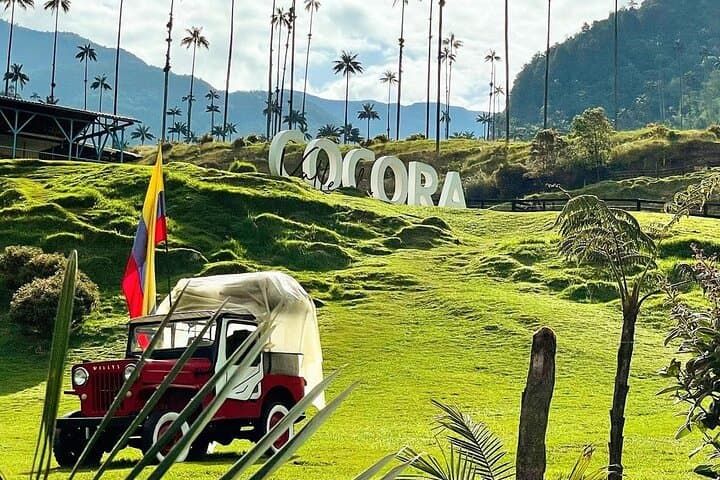 Cocora Valley Horseback Ride: Wax Palms, Rivers & Cloud-Forest Views