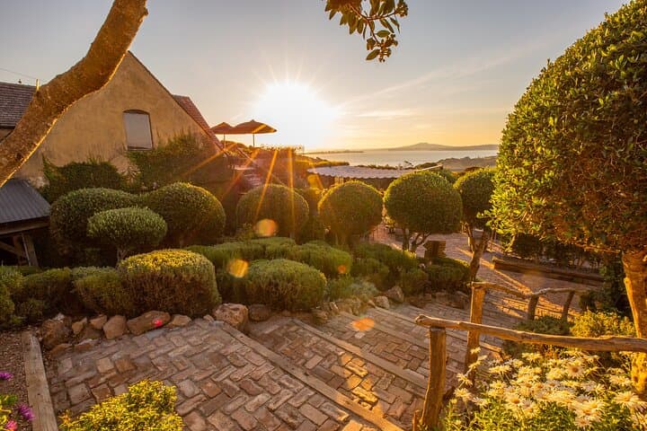 Waiheke Island Half-Day Scenic Wine Tour and Lunch — Mudbrick, Stonyridge & Onetangi photo 4