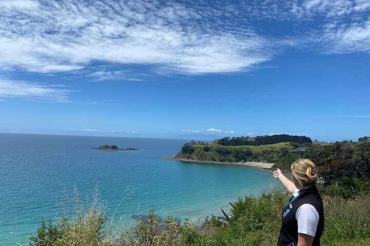 Waiheke Island Half-Day Scenic Wine Tour and Lunch — Mudbrick, Stonyridge & Onetangi photo 2