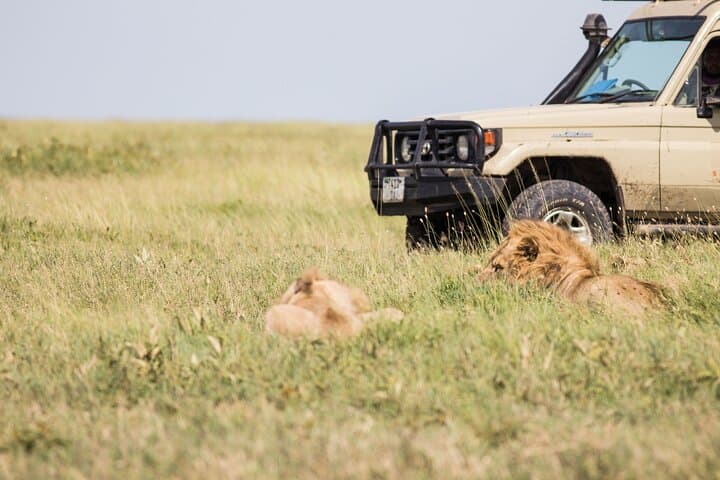 Kenya Tanzania Herdtracker Migration Safari — 8-Day Wildebeest Migration Experience