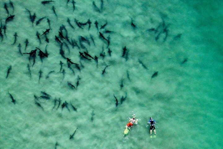 La Jolla All-Day Snorkel Package: Cove Wetsuit Rental & Locker Access photo 5
