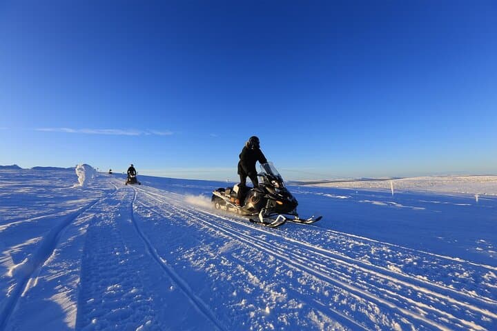 Snowmobiling Adventure in Levi: Explore Arctic Forests on a Guided Safari photo 4