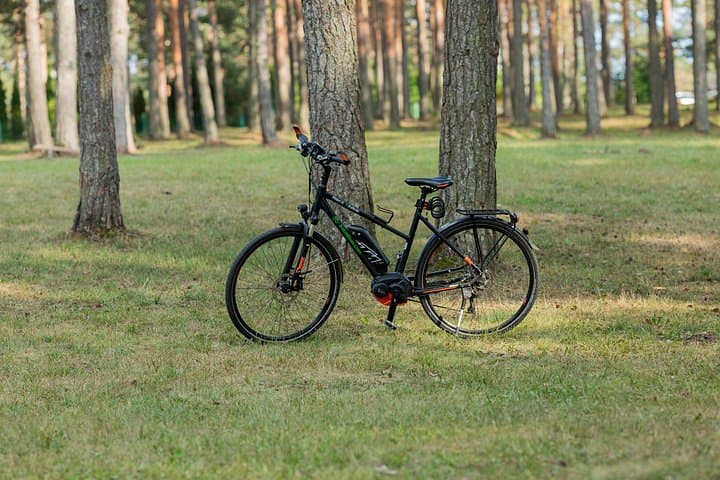 Explore Zlatibor by Electric Bike: Easy E‑Bike Rentals & Scenic Trails photo 4