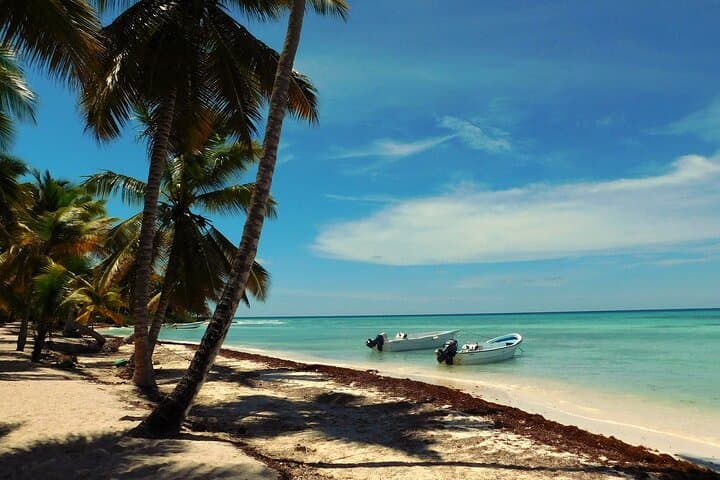 Saona Island Day Trip from Cap Cana — Lobster Lunch & Natural Pool photo 3