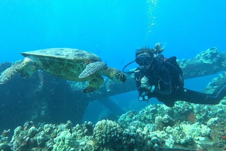 Mala Wharf Shark & Turtle Dive — Small-Group Certified Shore Dive in Lahaina photo 6