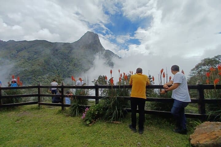 Cocora Valley Hummingbird Circuit: 12 km Cloud-Forest Hike from Salento