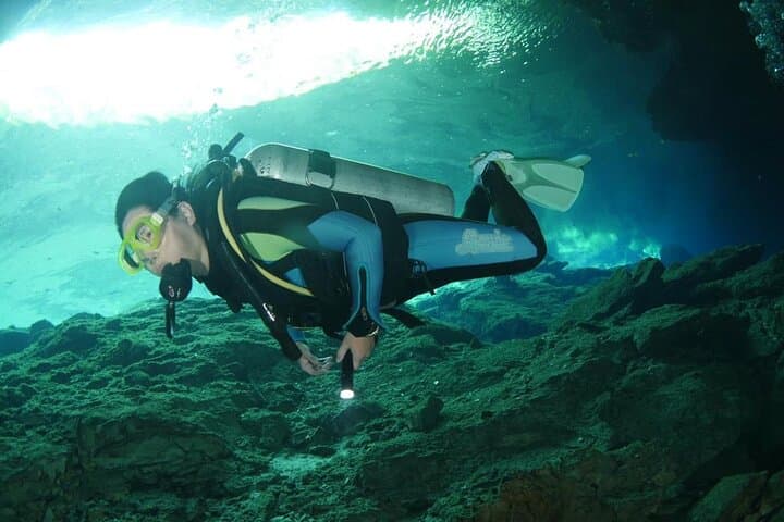 Try Scuba Diving at Casa Cenote, Tulum — Intro Dive with Snacks photo 4