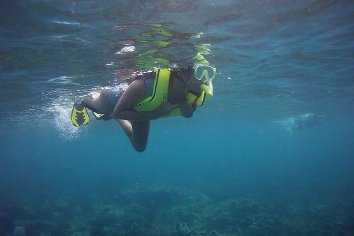 Rincon Snorkeling Adventure: Shore-Entry Snorkel in Tres Palmas Marine Reserve photo 4