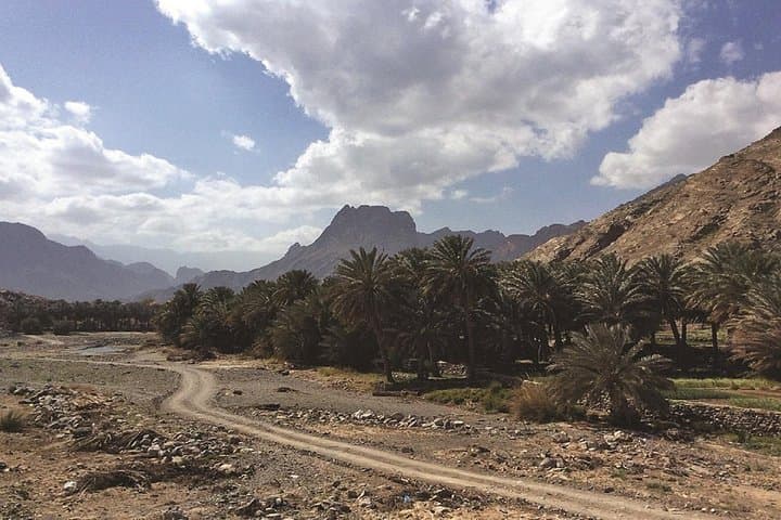 Snake Gorge & Wadi Bani Awf 4x4 Adventure: Full-Day Wadi Hike from Muscat photo 3