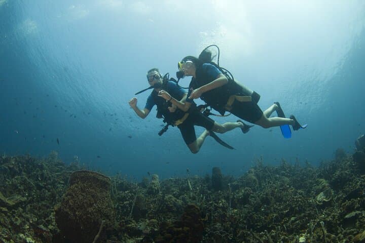 Scuba Diving the Rosario Islands: Day Trip from Cartagena photo 2