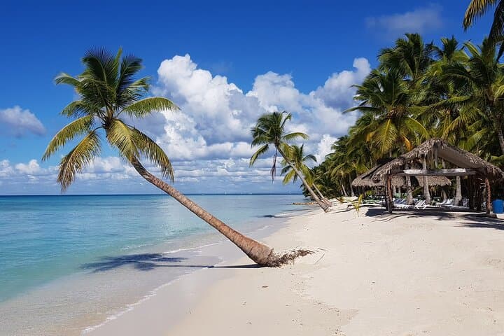 Saona Island Day Trip from Cap Cana — Lobster Lunch & Natural Pool