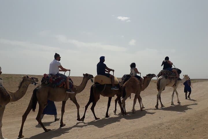 Private Sunset Camel Ride in Marrakech's Palmeraie photo 4