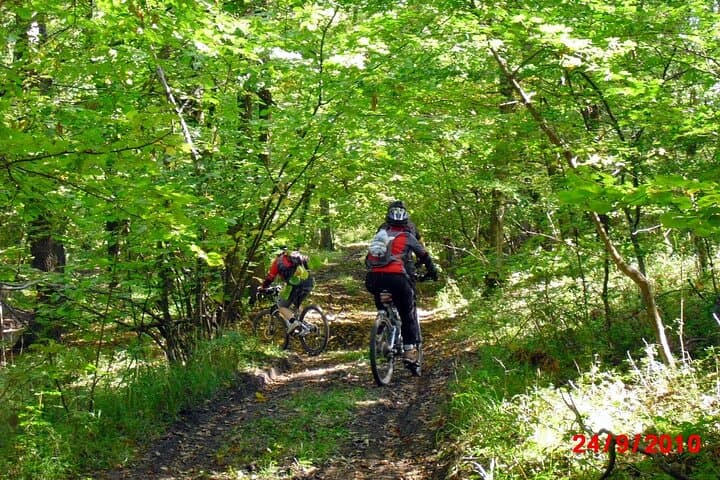 Postavaru Mountain Bike Day Tour from Brasov photo 3