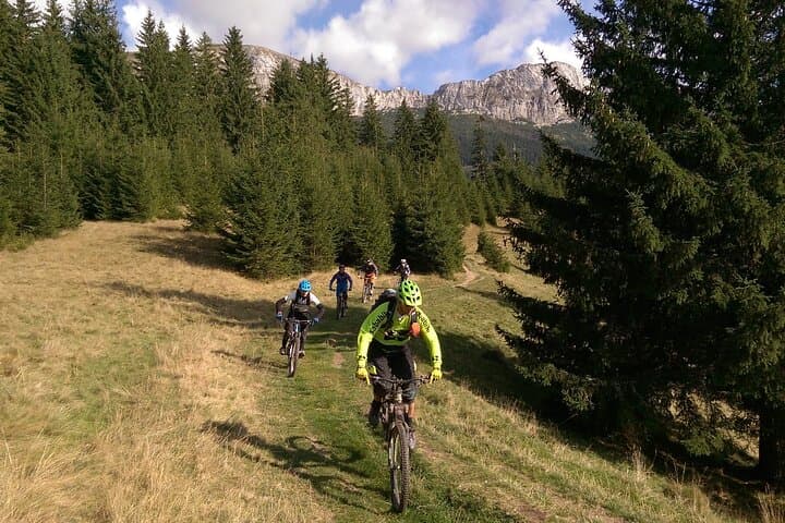 Postavaru Mountain Bike Day Tour from Brasov photo 4