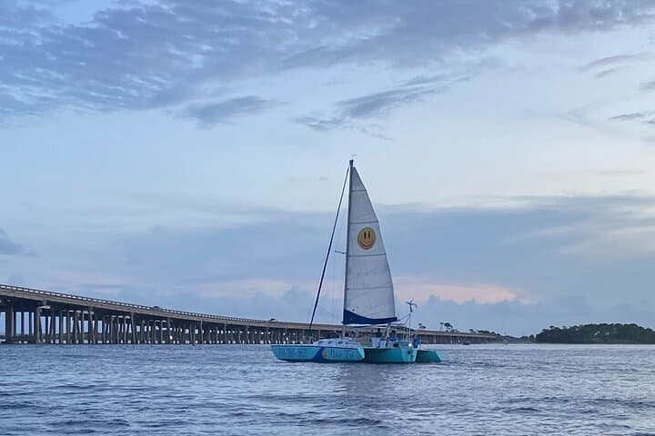 Destin Sunset Pontoon Cruise: Private Eco Tour to Crab Island & Norriego Point photo 5