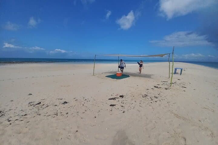 Full-Day Prison Island & Nakupenda Sandbank: Stone Town Boat Trip with Lunch photo 4