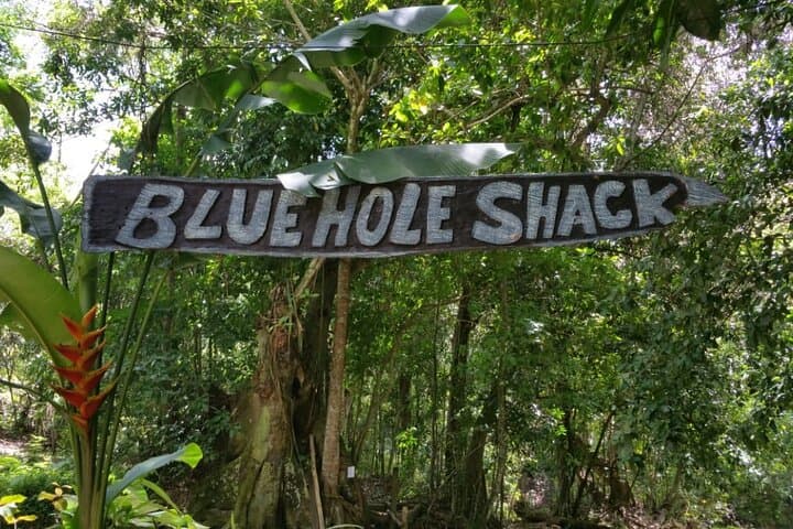 Montego Bay to Ocho Rios: Horseback Swim, Bamboo Rafting & Blue Hole Adventure photo 2