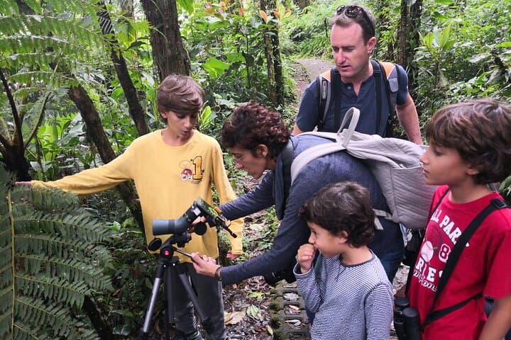 Private Guided Afternoon Nature Walk in Monteverde Cloud Forest Reserve photo 5