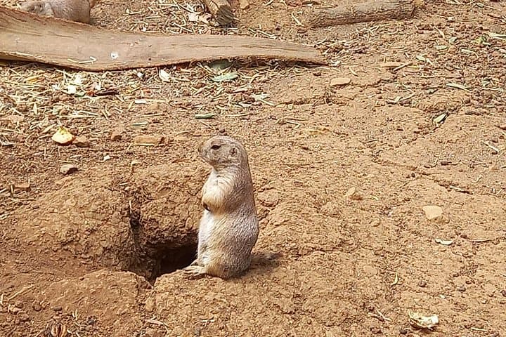 Albufeira Safari & Krazy World Animal Farm — Chapel of Bones and Salgados Lagoon photo 4