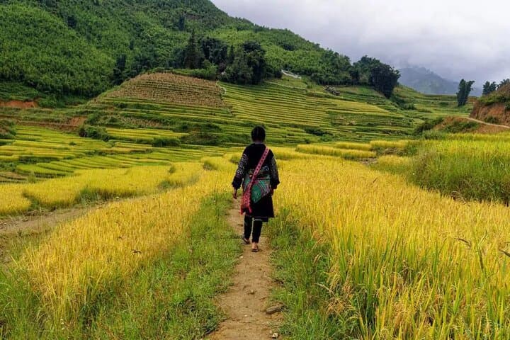 Muong Hoa Valley Treks: Sapa Local Trekking Adventures photo 6