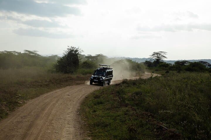 Two-Day Private Safari: Diani Beach to Tsavo East National Park photo 4