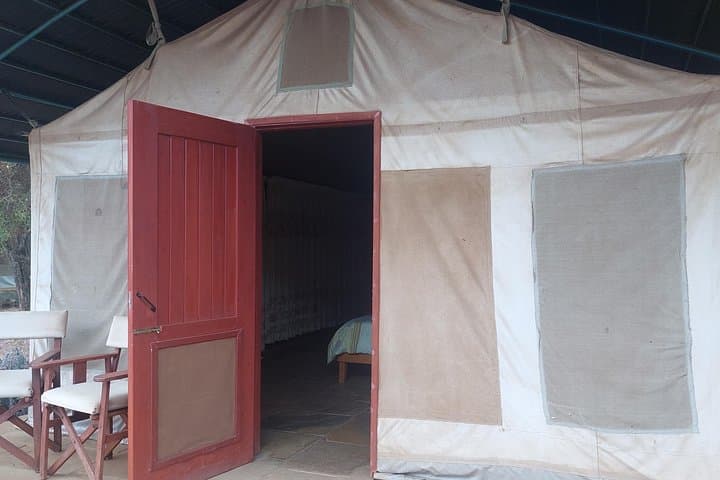 Amboseli Two-Night Safari: Elephants, Kilimanjaro Views & Morning Game Drives photo 3