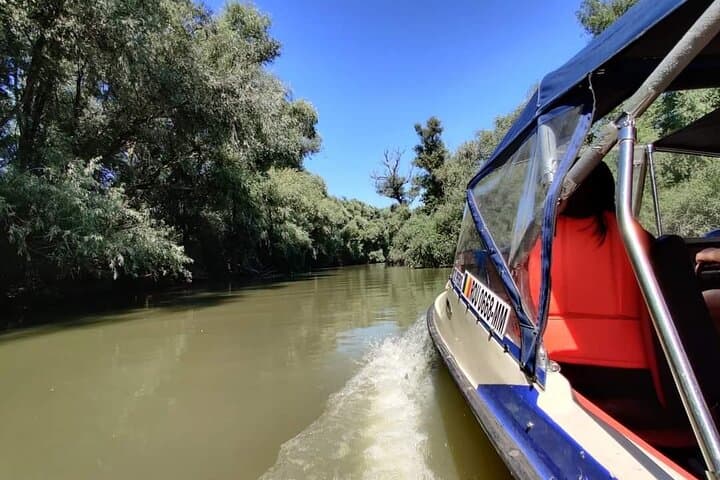 Danube Delta 3-Day Private Birdwatching & Safari from Bucharest photo 3