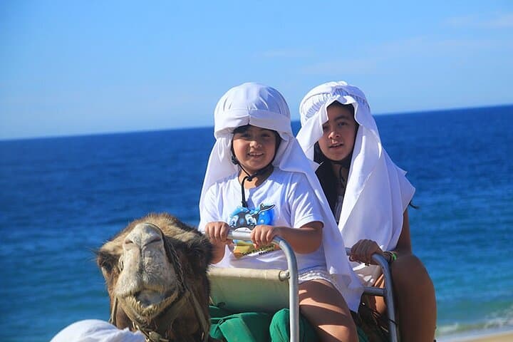 Los Cabos Camel Ride: Pacific Beach and Desert Eco‑Tour photo 6