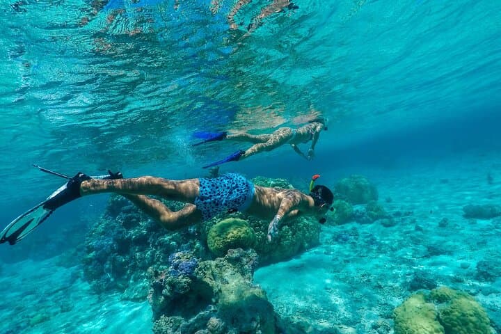 Bora Bora Private Half-Day Lagoon Tour: Snorkel with Rays & Blacktip Sharks photo 2