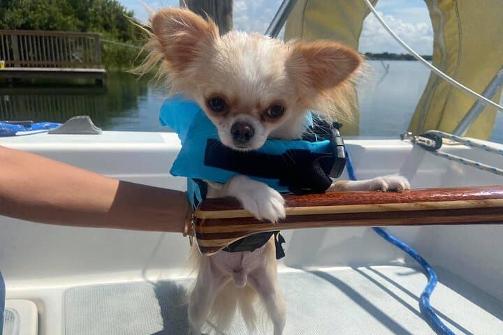 Private 2-Hour Day Sailing Experience on Lake Fairview, Orlando photo 3