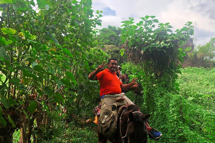 Puerto Escondido Horseback and Bioluminescence Adventure: Turtle Release & Manialtepec Lagoon photo 5