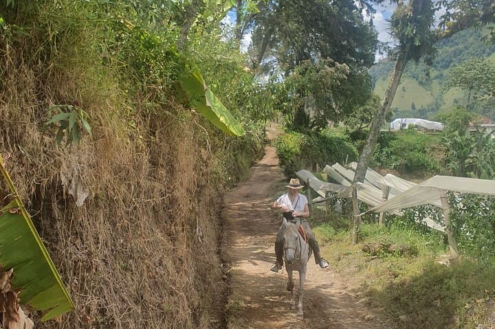Private Day Tour to Jardín: Horseback Ride, Coffee Villa & Waterfall from Medellín photo 5