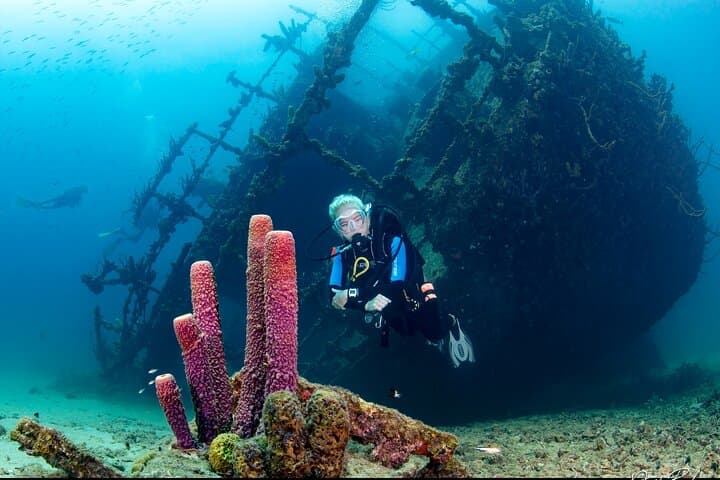Aruba Night Dive: Guided Shipwreck & Shallow Reef Night Dive Experience photo 3