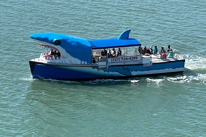 Mega Bite Dolphin Tour: High-Energy Clearwater Beach Dolphin Cruise