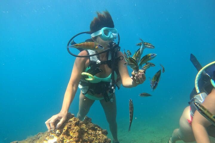 Half-Day Scuba Diving at Duden Waterfalls, Antalya — Boat Dive & Sea View photo 6