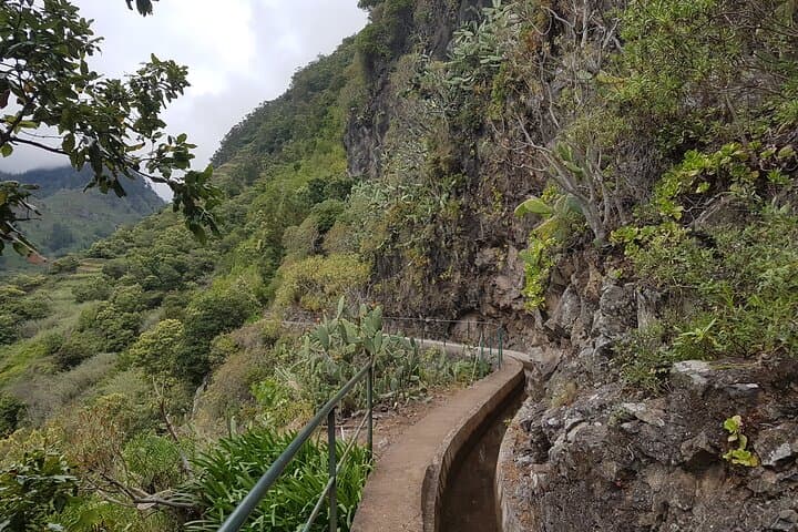 Levada Nova Tabua Half-Day Walk — Guided Levada Hike in Madeira photo 3