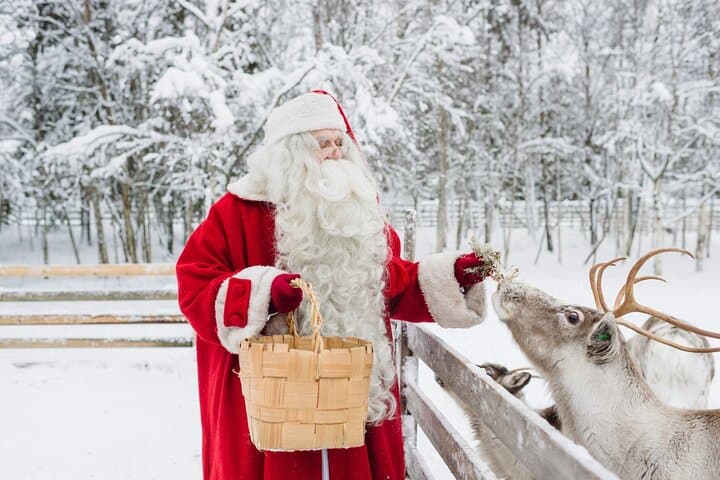 Reindeer Sleigh Ride & Farm Experience in Rovaniemi photo 5