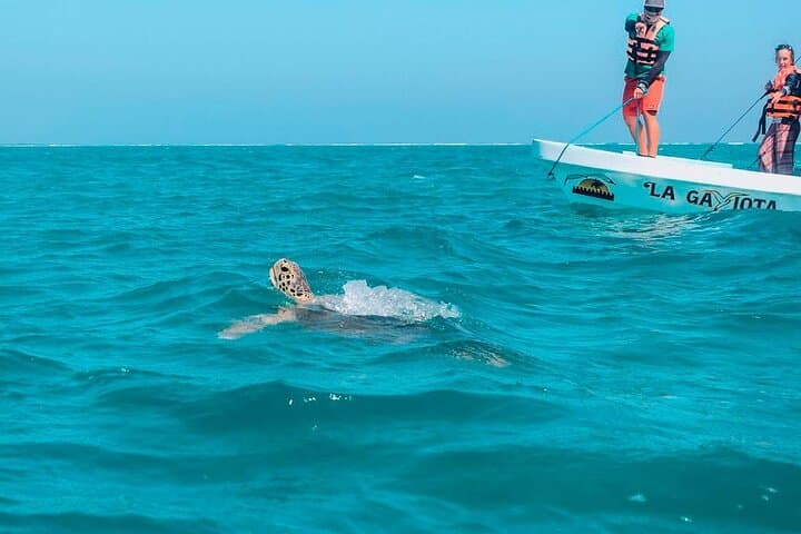 Full-Day Sian Ka'an Biosphere Tour to Punta Allen with Reef Snorkel from Cancún photo 3