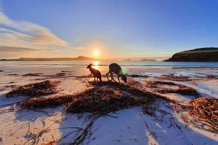 Perth to Adelaide: 10-Day Coast-to-Outback Camping Adventure photo 3