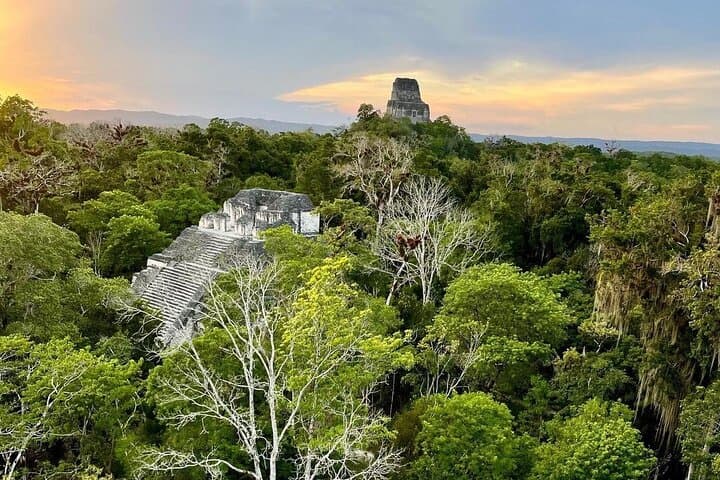 Sunrise at Tikal: Private Dawn Tour from Flores photo 3