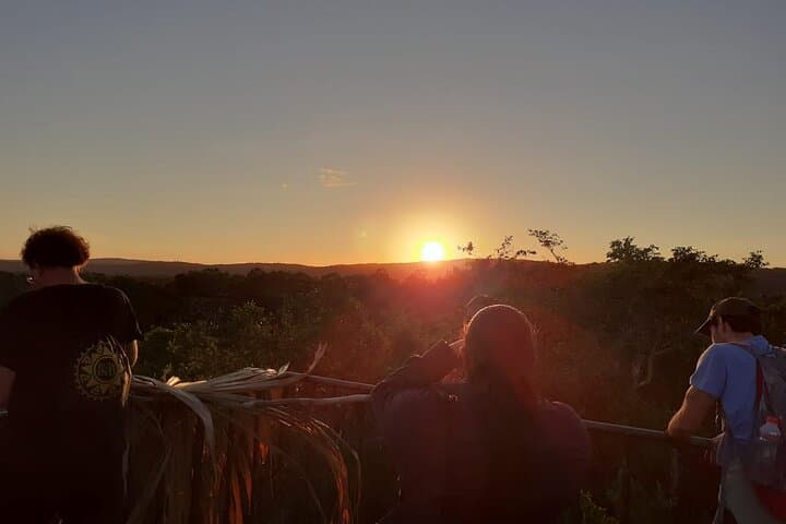 Sunrise at Tikal: Private Dawn Tour from Flores