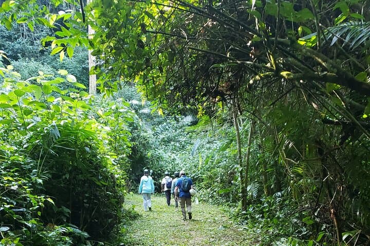 Crystal Cave Belize: Full-Day Cave Expedition to Mountain Cow Cave & Inland Blue Hole photo 2