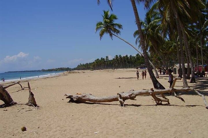 Blue Lagoon & Playa Grande Full-Day Tour — Cabrera’s Crystal Waters photo 3