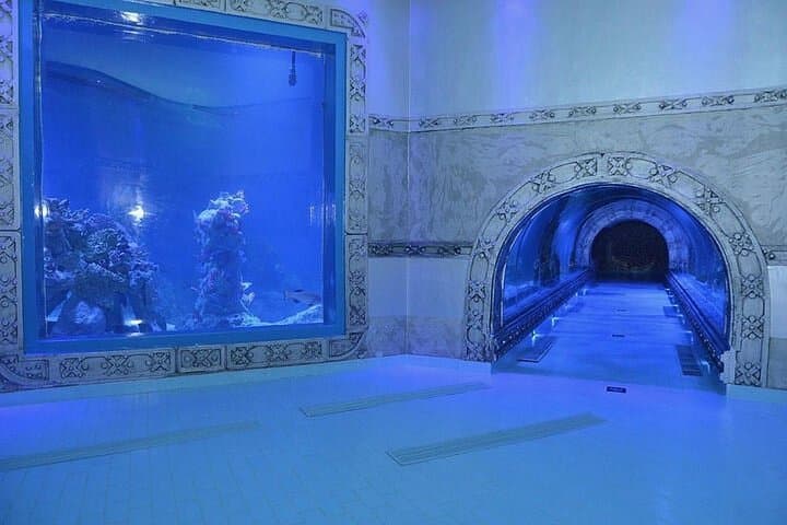Hurghada Grand Aquarium: Explore Egypt's Red Sea Marine World photo 2