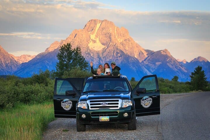 Sunset Grand Teton Wildlife Safari from Jackson — 4-Hour Guided Tour photo 3