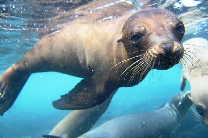 Santa Fe Island & Hidden Beach: Galápagos Day Tour with Snorkeling and Fishing