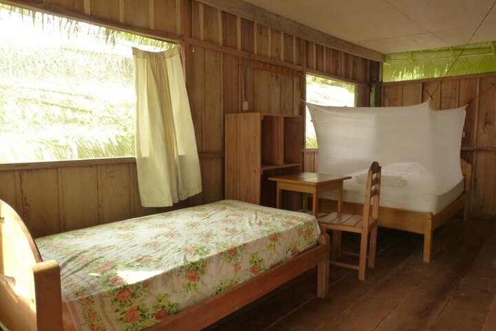 3-Day Private Amazon Experience from Iquitos — Community-Run Jungle Lodge photo 6
